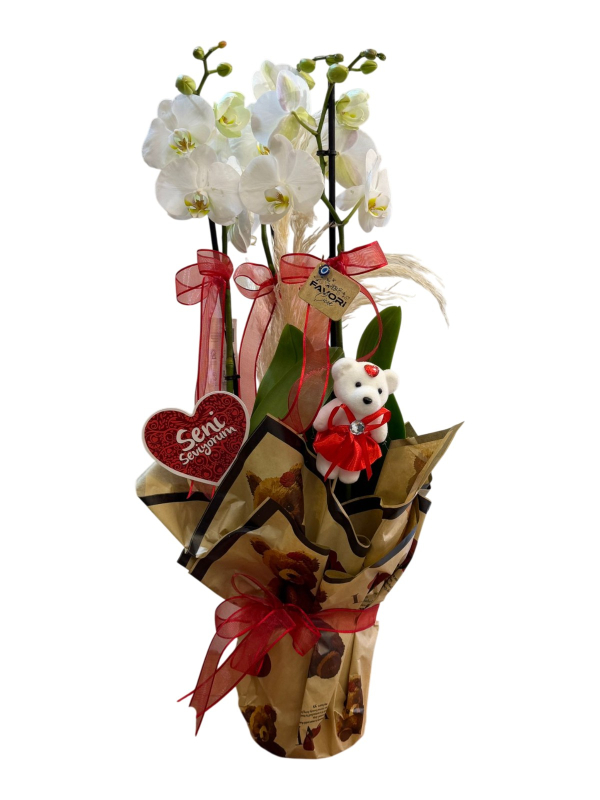 3 Dallı Beyaz Orkide