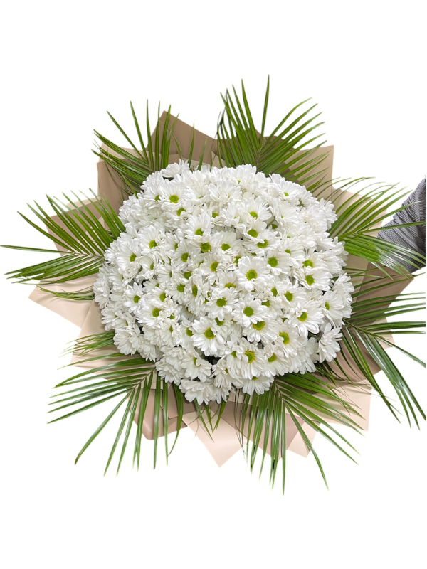 Dev Beyaz Papatya Buketi