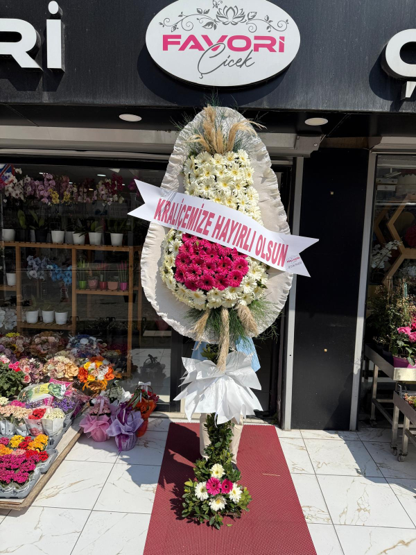 Beyaz ve Pembe Açılış Çiçeği