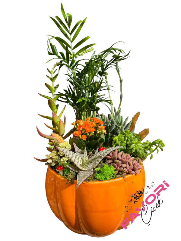 Dekoratif Bahçe Teraryum