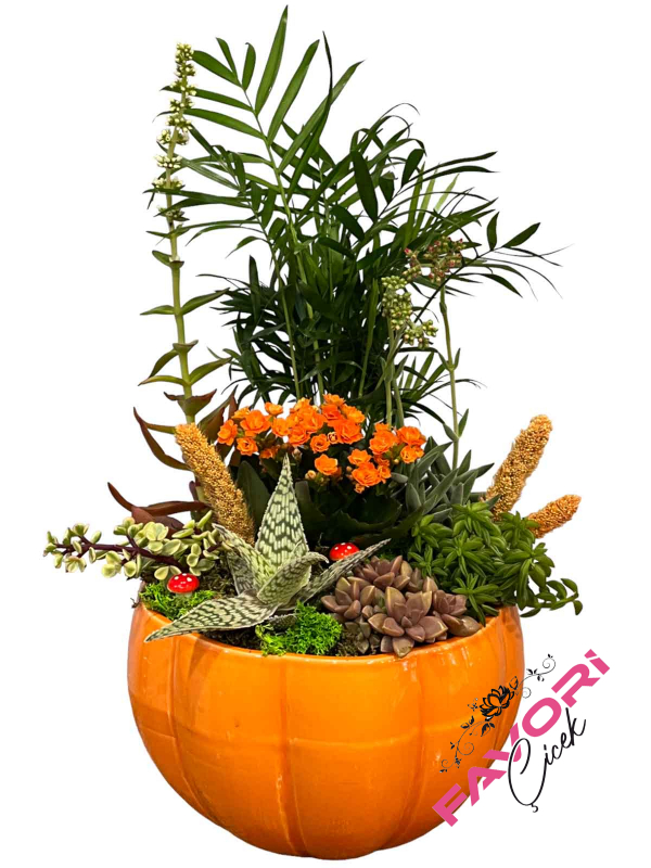 Dekoratif Bahçe Teraryum