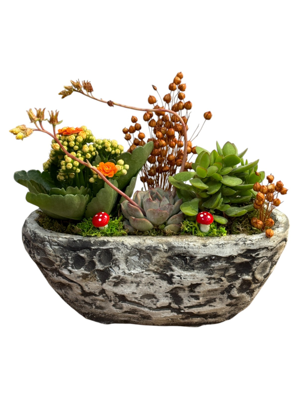 Doğal Taş Saksıda Turuncu Sukulent Bahçesi