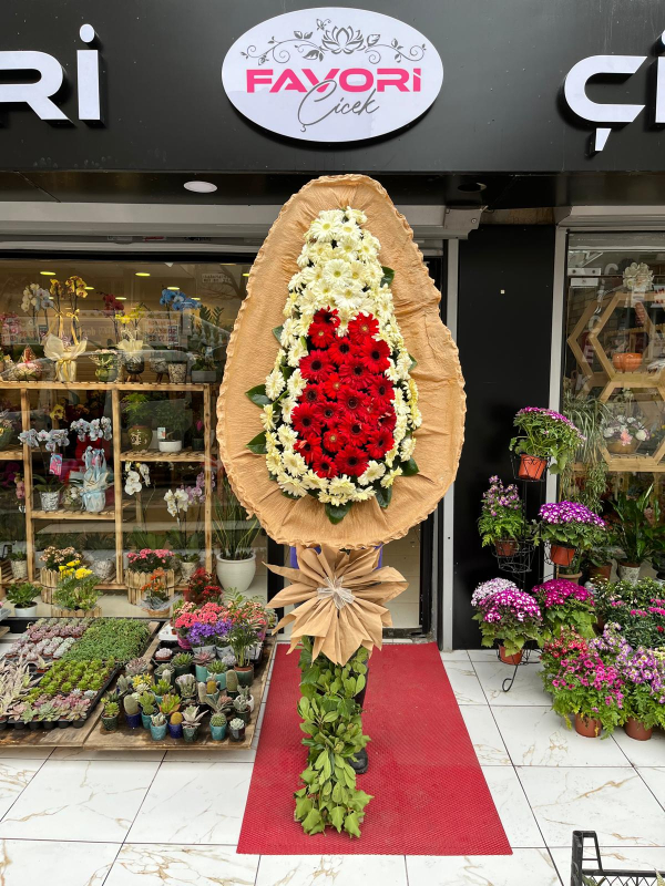 Kırmızı Beyaz Açılış Çiçeği