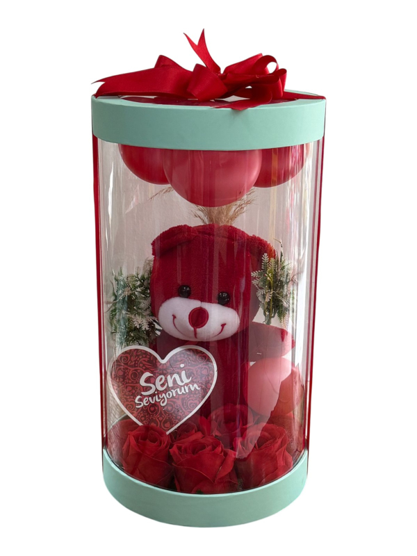 Mint Kapaklı Şeffaf Silindir Kutuda Kırmızı Ayıcık