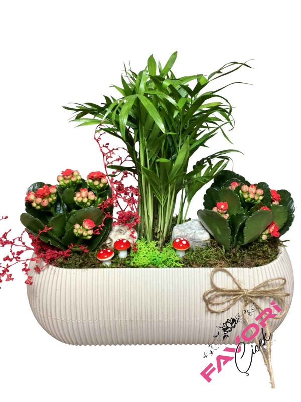 Minyatür Kalendiva Bahçesi Teraryum