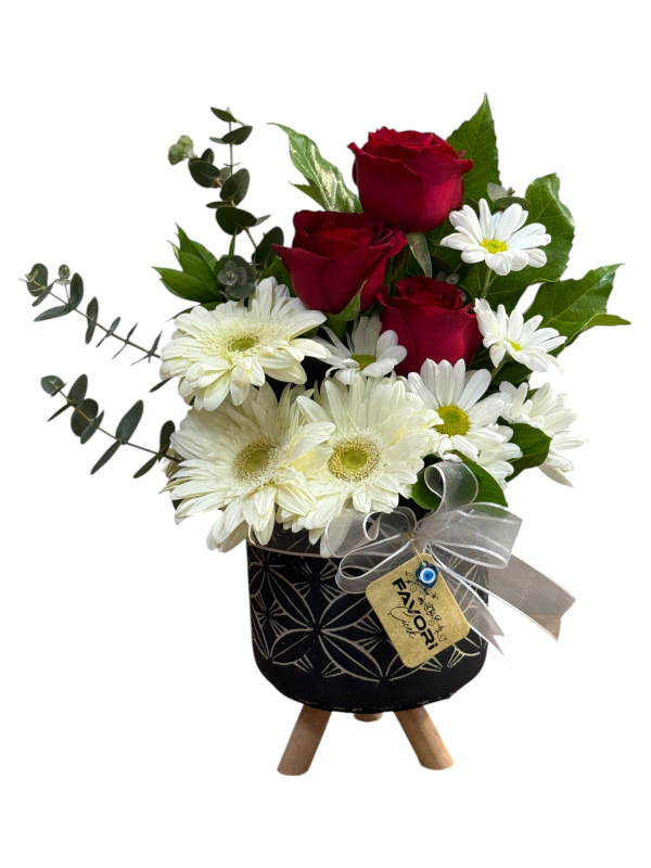 Dekoratif Saksıda Gül ve Papatya Aranjmanı