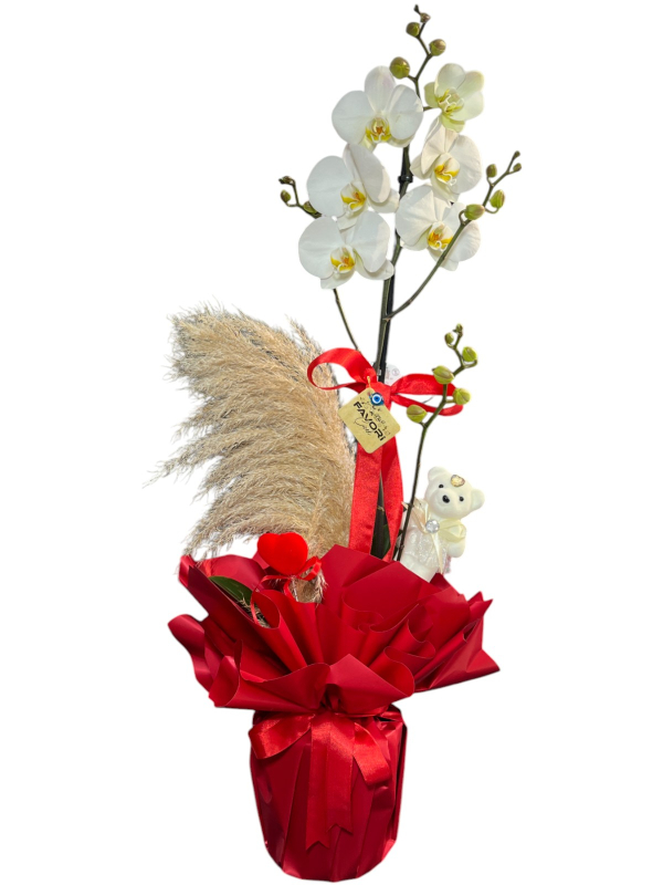 Sevgililer Günü İçin Özel Orkide