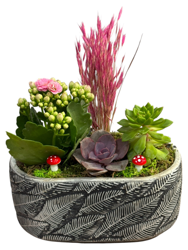Seramik Saksıda Sukulent & Kalanşo Aranjmanı