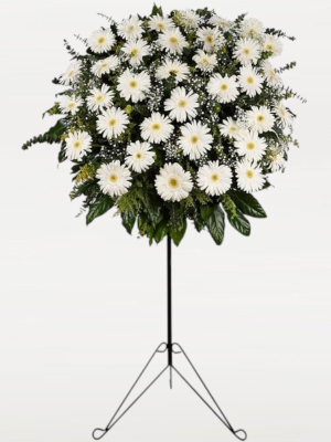 Beyaz Gerbera Ferforje Aranjmanı