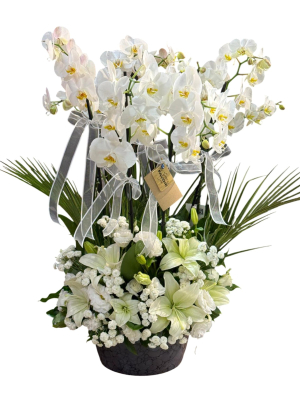 Beyaz Orkide ve Lilyum Aranjmanı