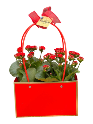 Kırmızı Çantada Çiçek (Kalanşo)