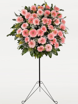 Pembe Gerbera Ferforje Aranjmanı