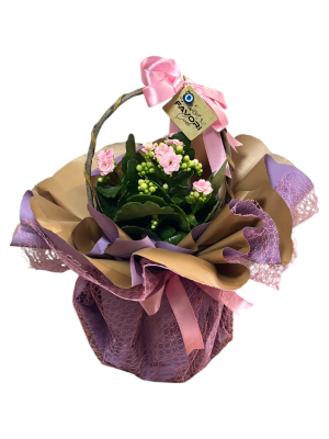 Pembe Kalanchoe Çiçeği