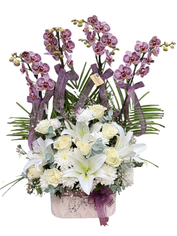 Violet Majesty: 4 Dallı Özel Tasarım Orkide