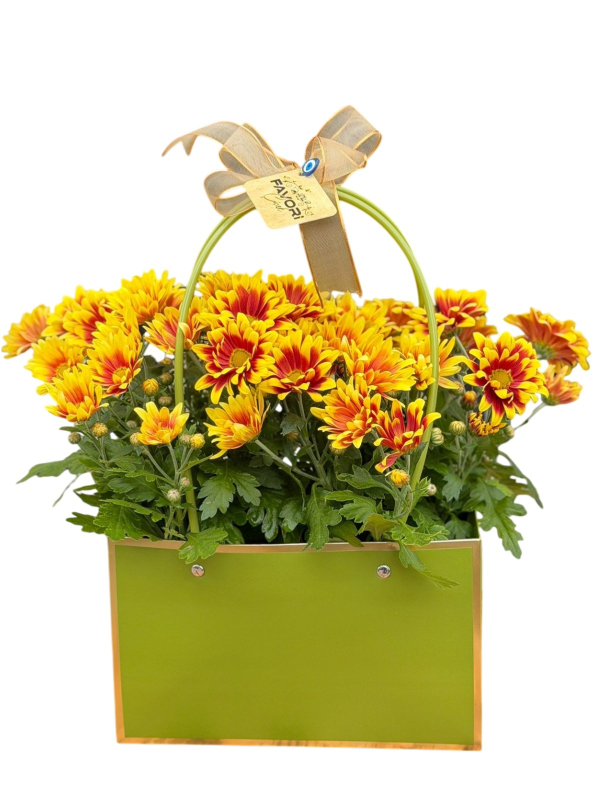 Yeşil Çantada Çiçek – Sarı & Kırmızı Kasımpatı